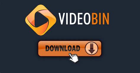 videobin co|Online Video Downloader